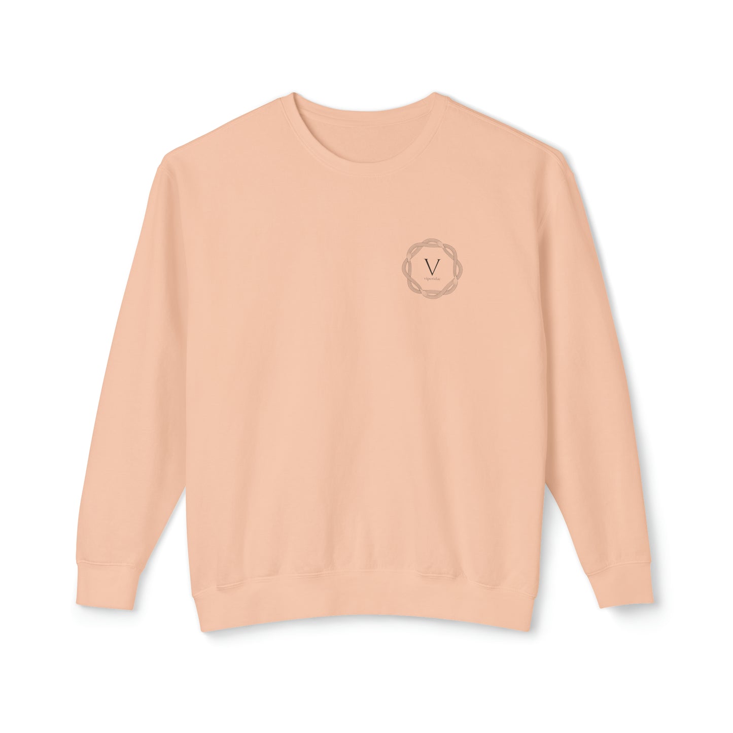 COMFORT COLOR Homebody Lightweight Crewneck Sweatshirt B